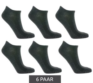 6 Paar TASTIQ Sneaker-Socken schlichte Baumwoll-Socken Sport-Socken Grau