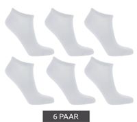 6 pares de calcetines deportivos TASTIQ, calcetines sencillos de algodón en caja de regalo, calcetines deportivos negros, grises o blancos 6 pares de calcetines deportivos TASTIQ, calcetines sencillos de algodón en caja de regalo, calcetines deportivos negros, grises o blancos