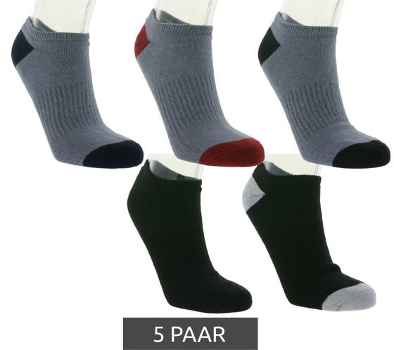 5 paires de chaussettes SOCKSWEAR en coton pour baskets, chaussettes en tissu éponge complet NAN 7673818 noir/gris/rouge/bleu