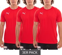 3er Pack Puma TeamGOAL 23 Casual Herren Baumwoll-Shirt mit Logo-Stickerei schlichtes T-Shirts Rot, Grau, Grün, Weiß oder Hellblau