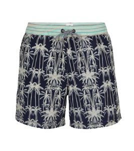 O'NEILL Palm short de bain homme avec maillot de bain à séchage rapide avec inscription de la marque 1A3706 5900 Bleu foncé/vert/beige