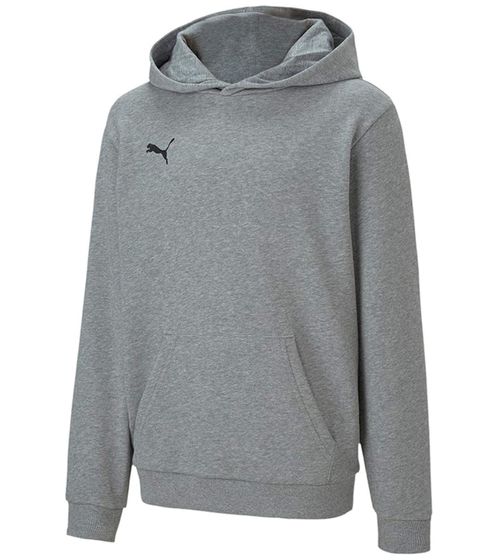 PUMA teamGOAL 23 Casuals Kids Hoody with Kangaroo Pocket Hooded Sweater for Youths 656711 33 Grey