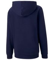 3er Sparpack PUMA teamGOAL 23 Casuals Kinder Hoody mit Kängurutasche Kapuzen-Pullover für Jugendliche Jungen & Mädchen 656711 Rot, Schwarz, Grün, Navy, Grau, Blau