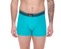 Pack of 2 REPLAY men's retro boxer shorts, cotton underwear, blue, black, dark blue or red