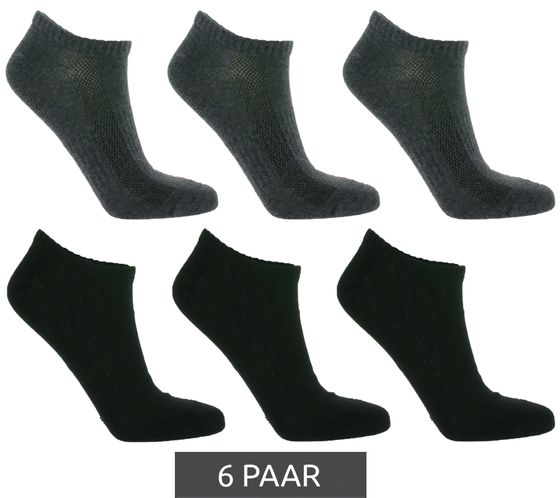 6 paires de chaussettes baskets TASTIQ, chaussettes simples en coton dans une boîte cadeau, chaussettes de sport noir/gris foncé