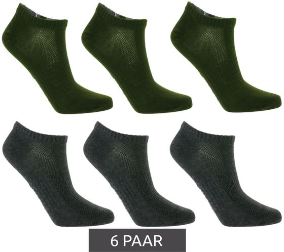 6 paia di calzini da sneaker TASTIQ, semplici calzini di cotone in confezione regalo, calzini sportivi, verde scuro/grigio scuro