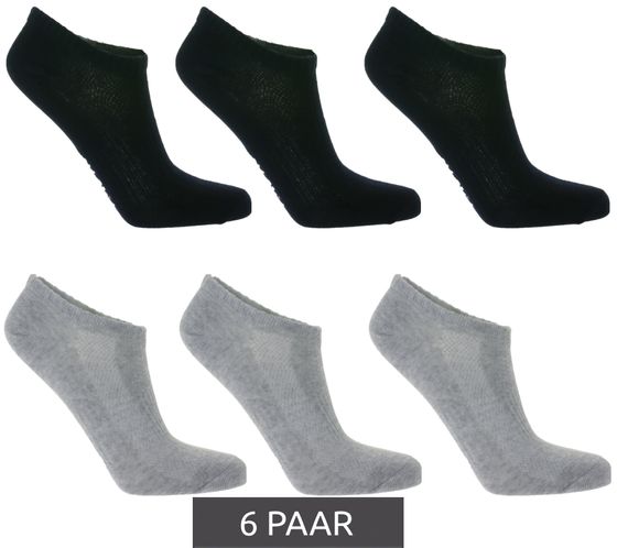 6 paires de chaussettes baskets TASTIQ, chaussettes simples en coton dans une boîte cadeau, chaussettes de sport, marine/gris clair