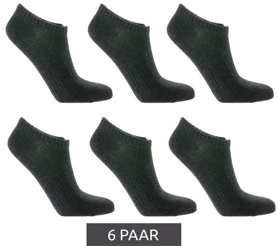 6 Paar TASTIQ Sneaker-Socken schlichte Baumwoll-Socken in Geschenkbox Sport-Socken Dunkelgrau