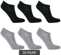 30 Paar TASTIQ Sneaker-Socken schlichte Baumwoll-Socken in Geschenkbox Sport-Socken Grau, Schwarz, Weiß, Blau, Grün oder Rosa 30 Paar TASTIQ Sneaker-Socken schlichte Baumwoll-Socken in Geschenkbox Sport-Socken Grau, Schwarz, Weiß, Blau, Grün oder Rosa