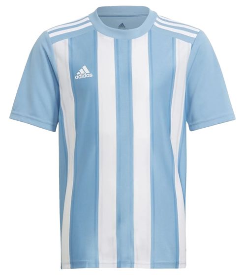 Camiseta deportiva adidas Stripe 21 para hombre, camiseta de entrenamiento sostenible con tecnología AEROREADY, top fitness a rayas GN5845 azul/blanco