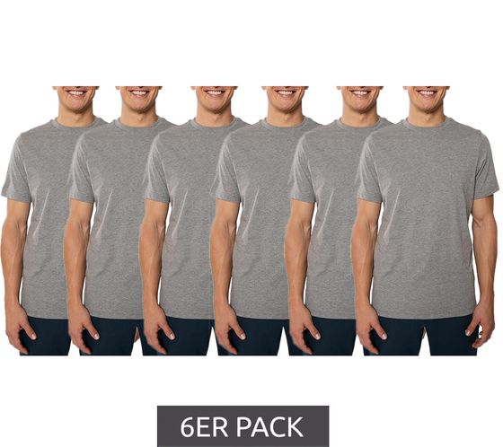 6er Pack PUMA Herren T-Shirts Baumwoll-Shirt Rundhals-Shirts Basic-Shirt 683509 01 Grau