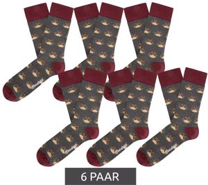 6 pairs of Moustard Owl  cotton socks with owl all-over print patterned long socks 20S-OWL gray/red/beige