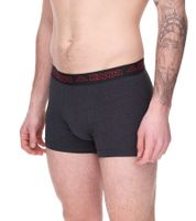 10er Pack Kappa Herren Boxershorts mit Marken Schriftzug und Logo Unterhose in verschiedenen Farben wie Schwarz, Grau, Anthrazit und Blau
