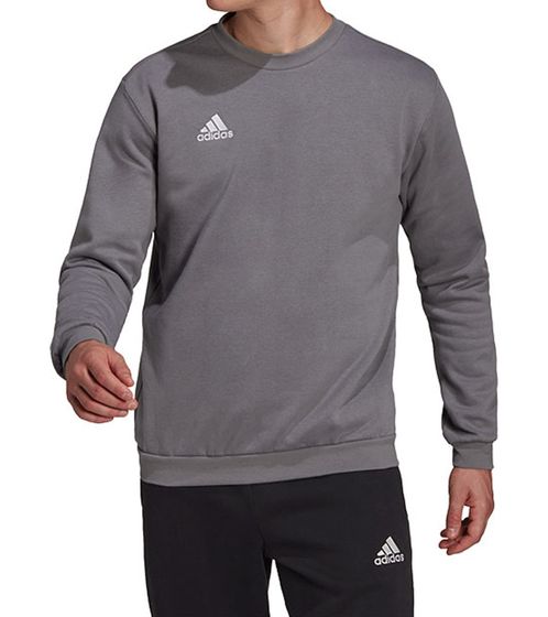 adidas Entrada 22 SW-Top Pullover girocollo da uomo in cotone sostenibile da uomo H57479 grigio