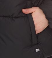 CARS JEANS Chaqueta acolchada de diario Soymas para hombre o Caley para mujer, chaqueta acolchada con capucha extraíble o cuello alto, chaqueta de otoño, chaqueta acolchada, negra CARS JEANS Chaqueta acolchada de diario Soymas para hombre o Caley para mujer, chaqueta acolchada con capucha extraíble o cuello alto, chaqueta de otoño, chaqueta acolchada, negra