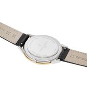 Pierre Cardin Men's Watch in Gift Box, Analog Quartz Watch with Leather Strap, 3 ATM, 40mm or 39mm, Silver/Gold, Black, or Silver/Black