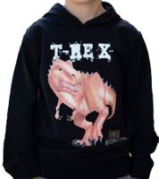 DINO WORLD Children's Sweater for Boys, Cotton Hoodie with Dinosaur Print, Hooded Pullover Sweatshirt, 27303360 Black