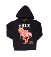 DINO WORLD Children's Sweater for Boys, Cotton Hoodie with Dinosaur Print, Hooded Pullover Sweatshirt, 27303360 Black