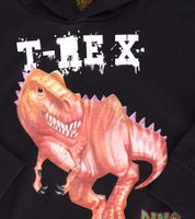 DINO WORLD Children's Sweater for Boys, Cotton Hoodie with Dinosaur Print, Hooded Pullover Sweatshirt, 27303360 Black