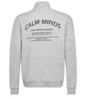 STITCH & SOUL Herren Sweater mit Reißverschluss moderner Troyer-Pullover mit Stehkragen Baumwoll-Pullover H10014C21404A in Grau, Blau oder Grün