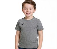 2-Pack Value Pack: PUMA TeamGoal 23 Boys' & Girls' Cotton T-Shirt with Logo Patch, T-Shirt 656709, 33 Gray