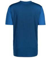 Camiseta de entrenamiento sostenible para hombre TAHI de OCEAN FABRICS, paquete de 2, con inserciones de malla. Camiseta de fitness. Camiseta de manga corta OUT-M-1021-OTW. Rojo, azul, negro, verde o blanco.
