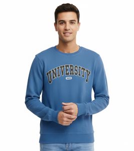 Pull Davin pour homme 11 PROJECT, imprimé UNIVERSITY sur le devant, en coton, 20715943, 194039, bleu Pull Davin pour homme 11 PROJECT, imprimé UNIVERSITY sur le devant, en coton, 20715943, 194039, bleu