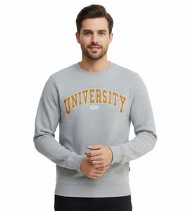 11 PROJECT Davin Herren Sweater mit UNIVERSITY Frontprint Baumwoll-Sweatshirt 20715943 200274 Grau 11 PROJECT Davin Herren Sweater mit UNIVERSITY Frontprint Baumwoll-Sweatshirt 20715943 200274 Grau