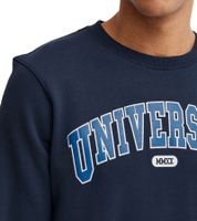 Suéter Davin de 11 PROJECT para hombre con estampado "UNIVERSITY" en la parte delantera, sudadera de algodón 20715943 en azul oscuro, gris o azul.