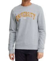 Suéter Davin de 11 PROJECT para hombre con estampado "UNIVERSITY" en la parte delantera, sudadera de algodón 20715943 en azul oscuro, gris o azul.