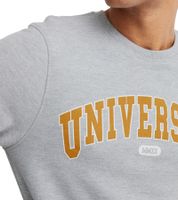 Suéter Davin de 11 PROJECT para hombre con estampado "UNIVERSITY" en la parte delantera, sudadera de algodón 20715943 en azul oscuro, gris o azul.