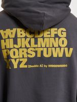 Sudadera con capucha y letras de Wood Wood Cass de hierro