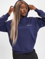 TheJoggConcept Sage Hoodies mittelalterlich blau