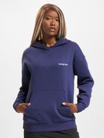 TheJoggConcept Sage Hoodies mittelalterlich blau