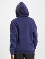 TheJoggConcept Sage Hoodies mittelalterlich blau