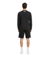 ROUGH Ancient Emblem Longsleeve Shirt for Men with a Distinctive Wash and Urban Look, Black