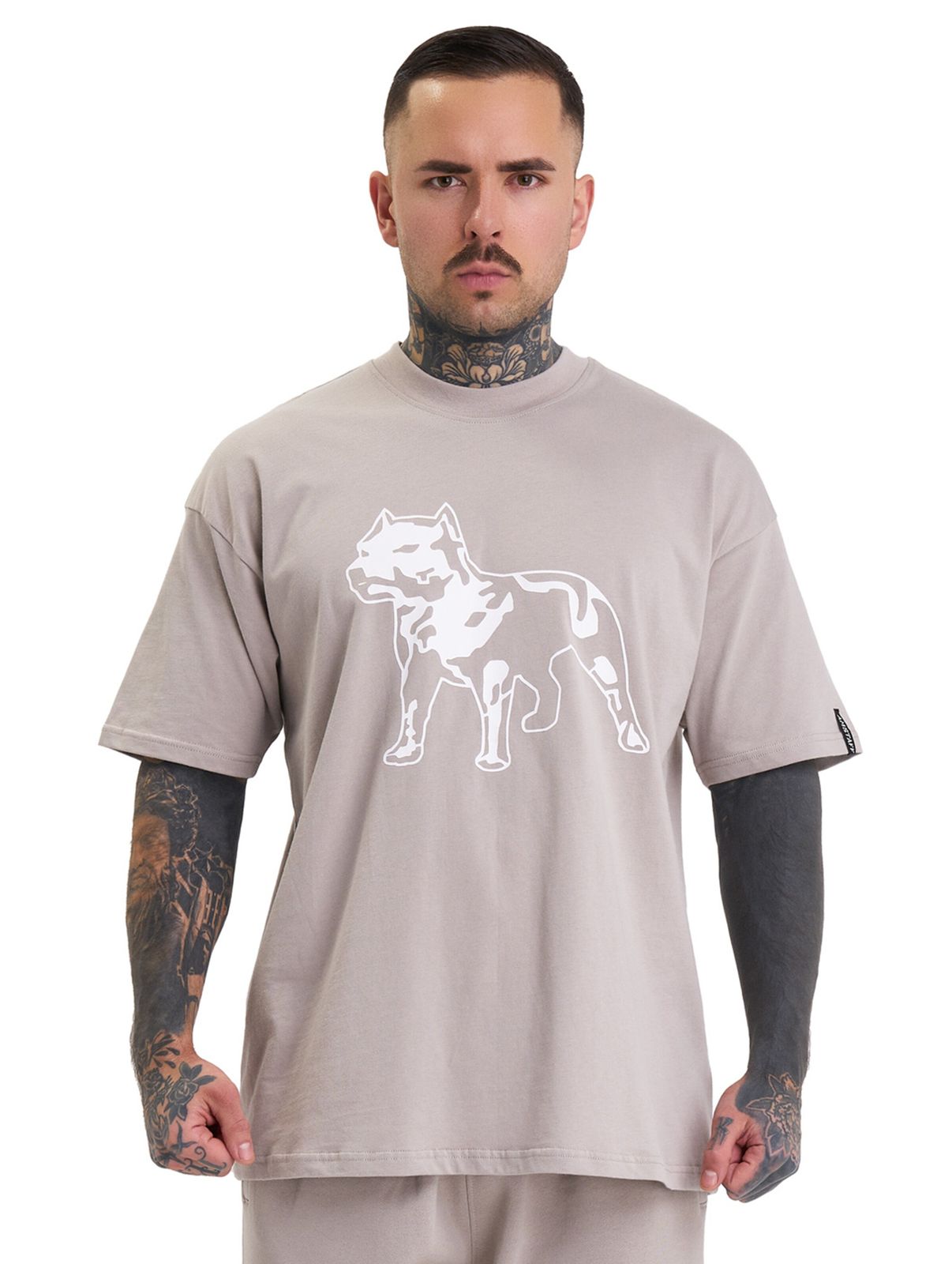 Maglietta Amstaff Logo 2.0 grigia/beige