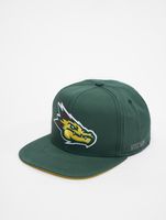 European League Of Football Barcelona Dragons Snapback Cap grün