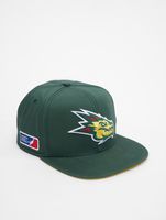 European League Of Football Barcelona Dragons Snapback Cap grün