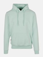 CAYLER & SONS  Plain Hoodies Vogeleigrün