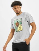 T-shirt WL Northern Lines de CAYLER & SONS, gris clair/mc