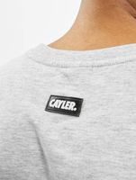 T-shirt WL Northern Lines de CAYLER & SONS, gris clair/mc