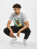 T-shirt WL Northern Lines de CAYLER & SONS, gris clair/mc