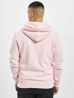 CAYLER & SONS WL Space Trust Hoody blassrosa/mc