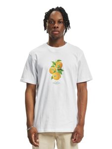 Thé blanc Vitamines Tennis CAYLER & SONS