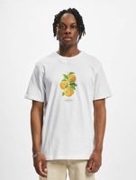 CAYLER & SONS Vitamine Tennis Tee weiß