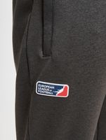 DefShop x European League of Football Raiders Tirol Jogginghose anthrazit DefShop x European League of Football Raiders Tirol Jogginghose anthrazit