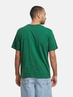 European League Of Football Blanko T-Shirts eden green
