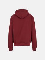 European League Of Football Blanko Zip Hoodies zinfandel