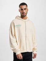 Franchise TFG Zip Hoody washed light beige Franchise TFG Zip Hoody washed light beige